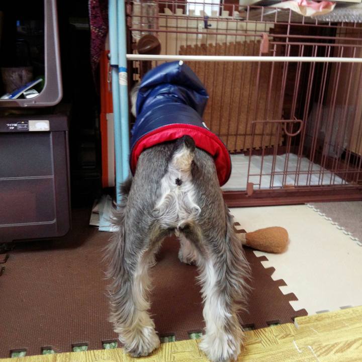 F713f4e7 cf9a 4154 bfe2 464fba42e777