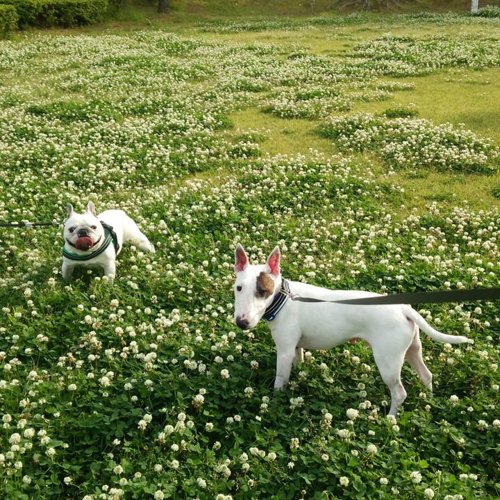 F71447fa df61 482f 858b dad4afe29e44