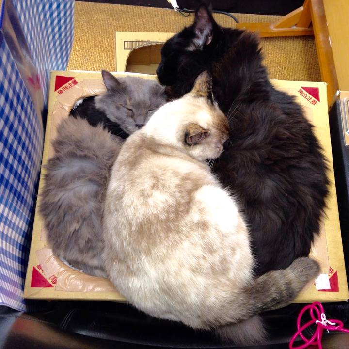 F7144c63 b4b1 4663 b65e 5cb883e7a581