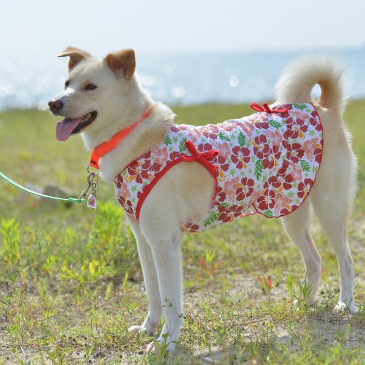 F71457a5 f458 439b 9eec 41b342465ae1