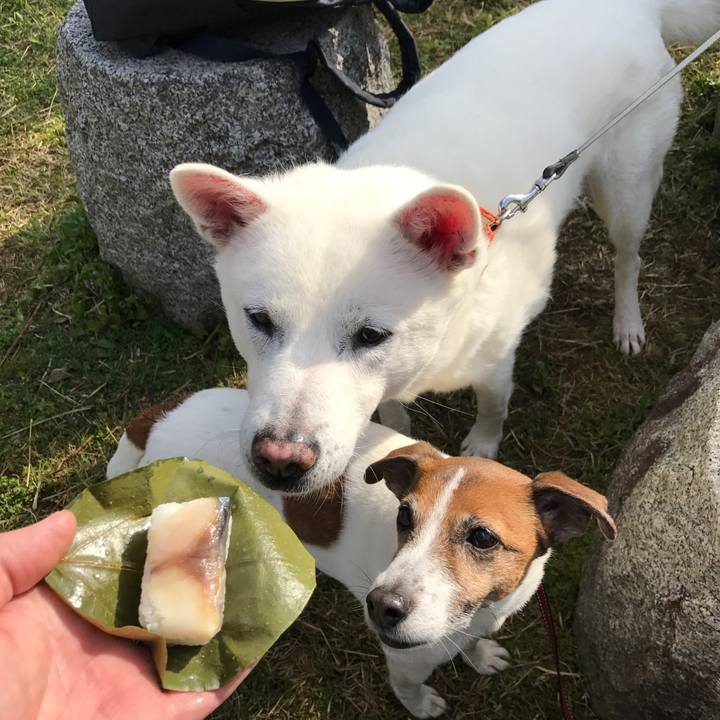 F71458fb 6392 4049 b118 e3f0253d1a94