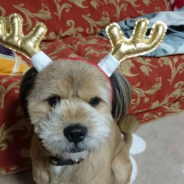 F714edf9 2f6d 4e56 b1d3 c361c6877d49