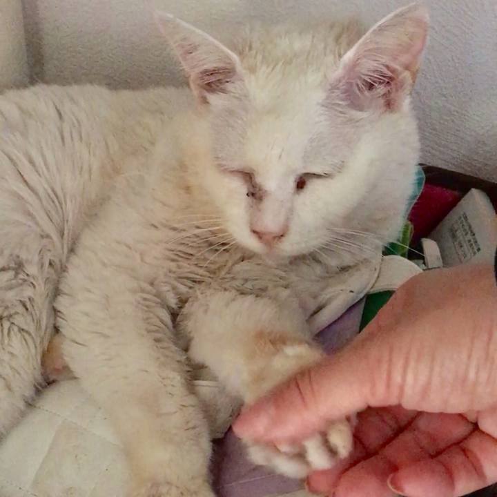 F715164d fcce 4e3a b4f8 7e46685db7bb