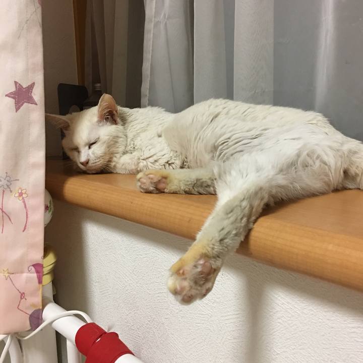 F7155698 ddb8 4a6b 985a a11a0a6fb32a