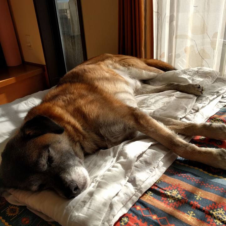 F7155f34 c30d 4f02 a2bf 7bb1f978466a