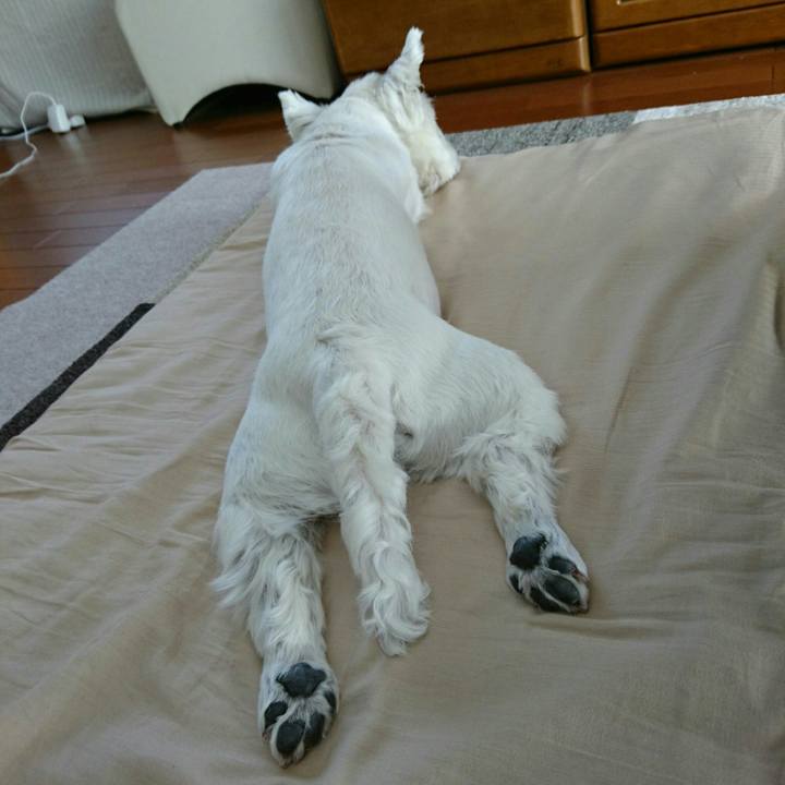 F715e2f7 7853 4624 814c 514ee86503d2