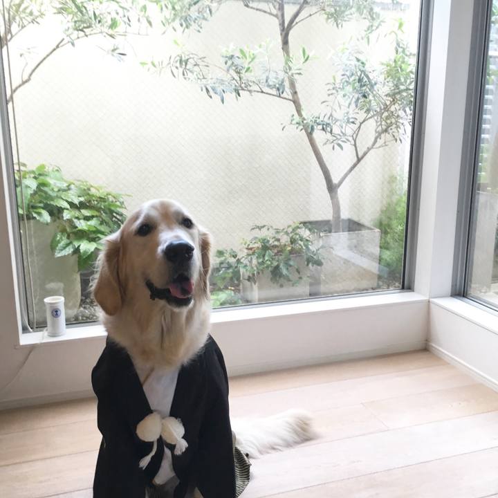 F7160255 8901 45f1 b0a8 d012788f2df0