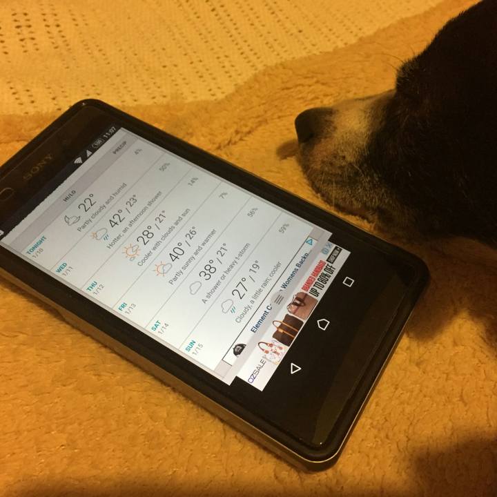 F716417d 372b 4777 ab2b dce5aba184c5