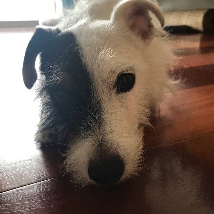 F71748ba 4773 4d88 a546 0059fe7e3a75