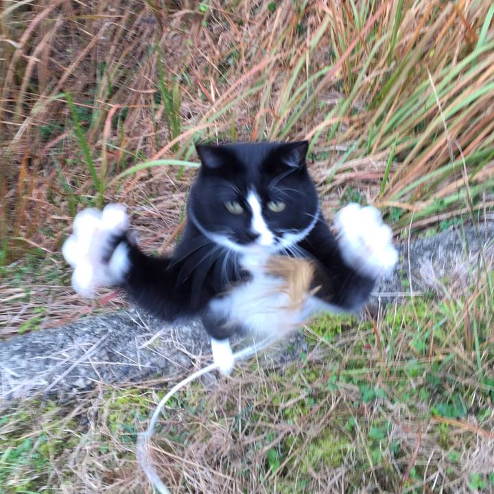 F717f454 106f 4278 a45e e55531d5b3ca