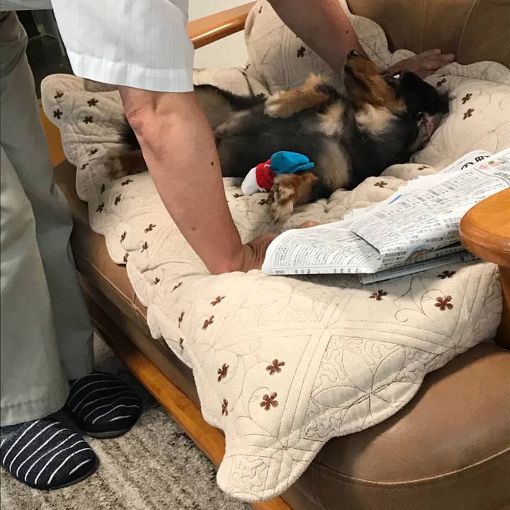 F71810ce 2af5 4532 8c97 60ebdc00b198