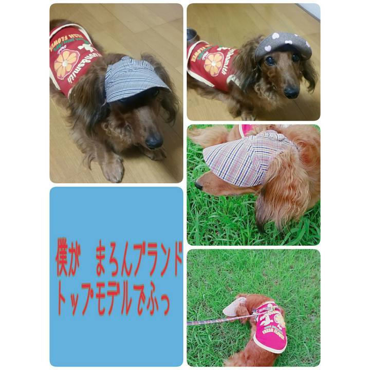 F7181bda 7ef8 4857 93d0 7ff7dd409d16