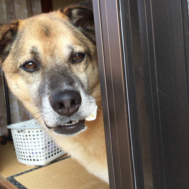 F718782c dbdd 4408 85b3 dab83f4082eb