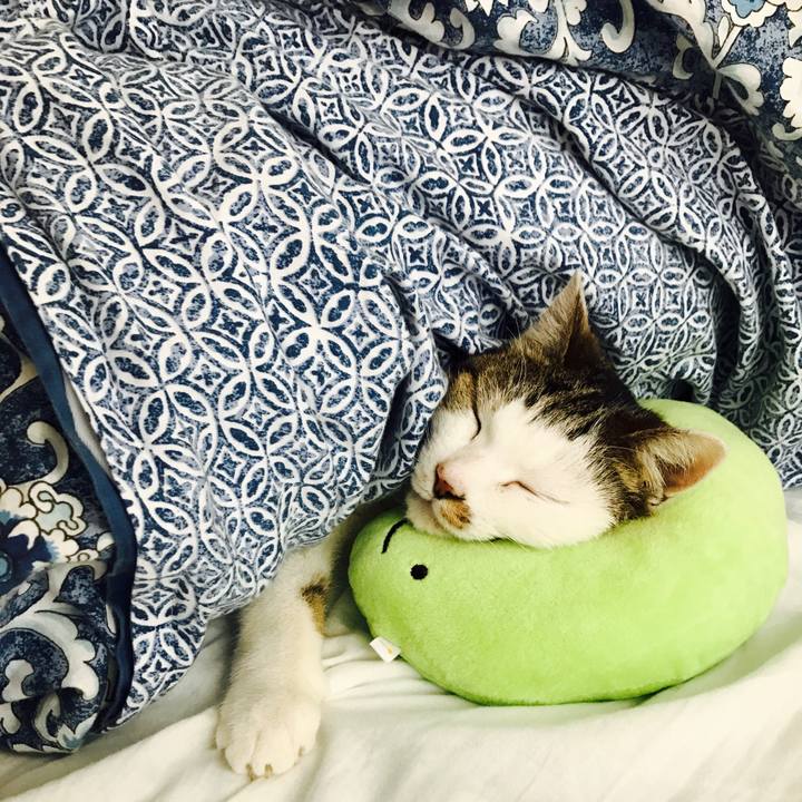 F718c843 bb4c 42c8 ace3 f58addb67bd9