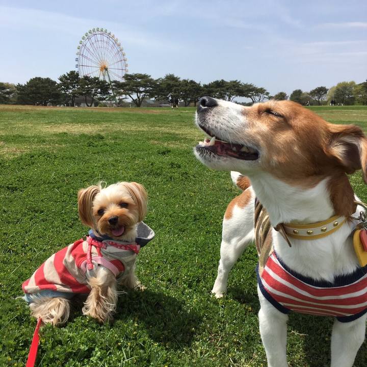 F718e44f 0d21 4f1e 939d 2600846b013b