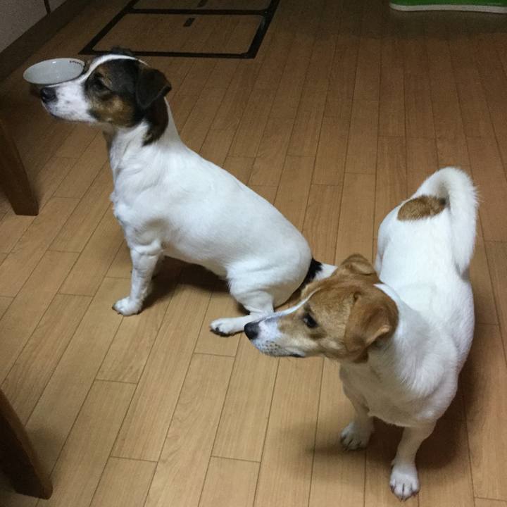 F7190209 2f4f 49cd 8424 863f2b07d4df