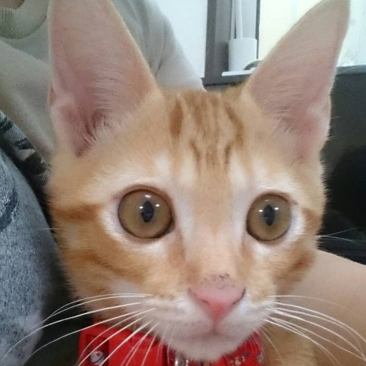 F719e671 4eeb 4a85 bb8b 1f0ef8b5a3bd