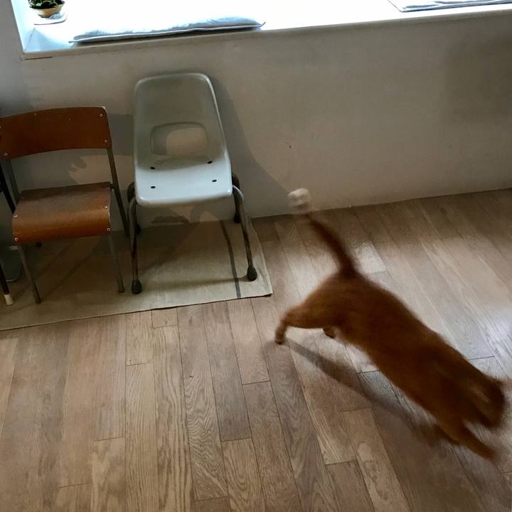 F719f2e3 bc1d 42b6 88f7 60d26186fa6c