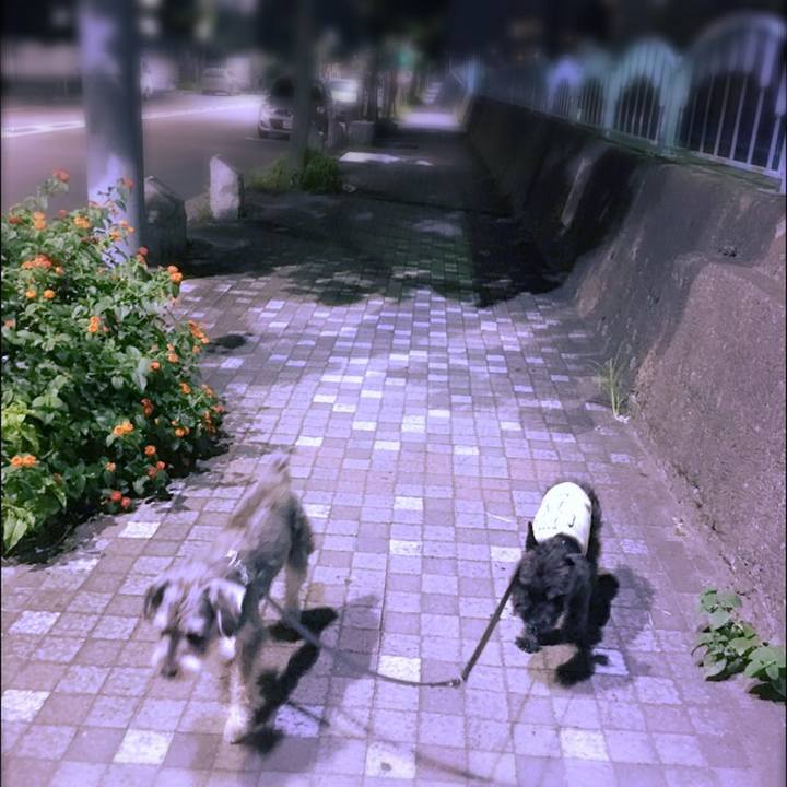 F71bb65a d272 48ba 9d99 04e29266aabd