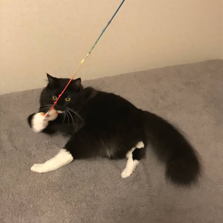 F71bee99 2f46 4ec7 9e62 f60f1371184c