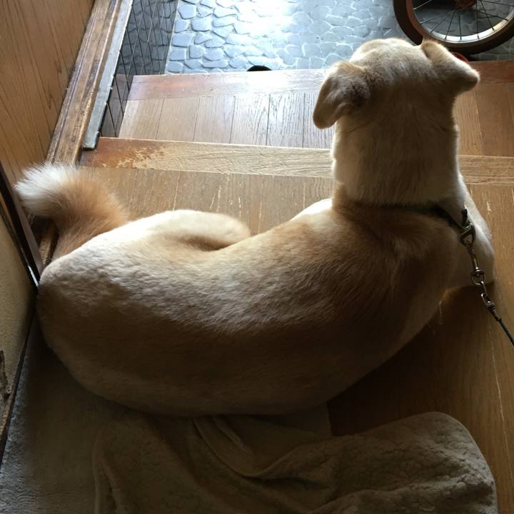 F71c5a88 4f61 47d1 8541 ea63144b5f1e