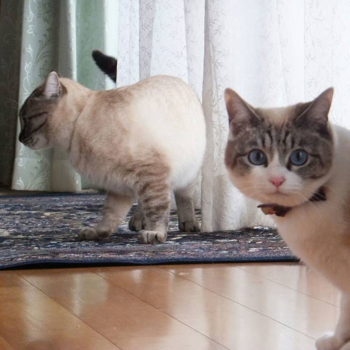 F71c7c91 a3f8 4f23 ba90 7175fbe45d15