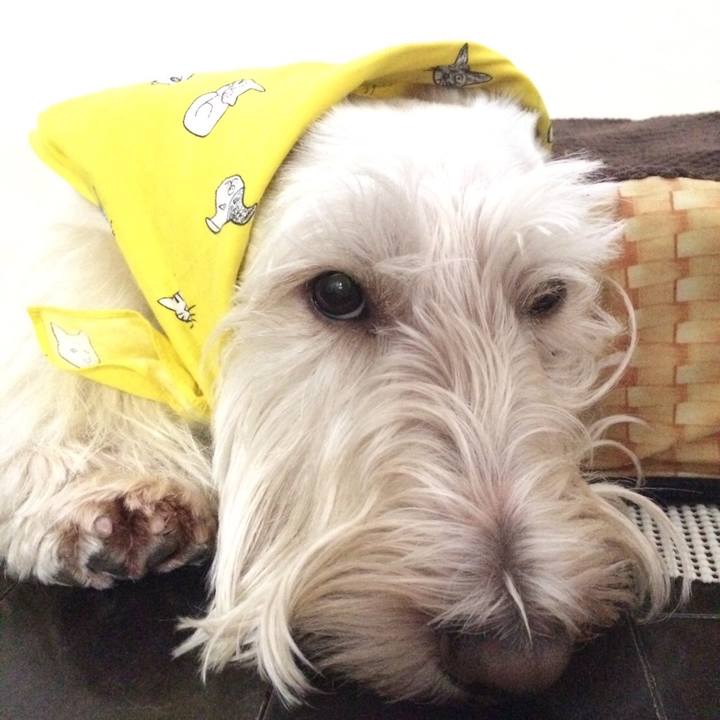 F71c9693 a382 4a03 be1c b89eef41db92