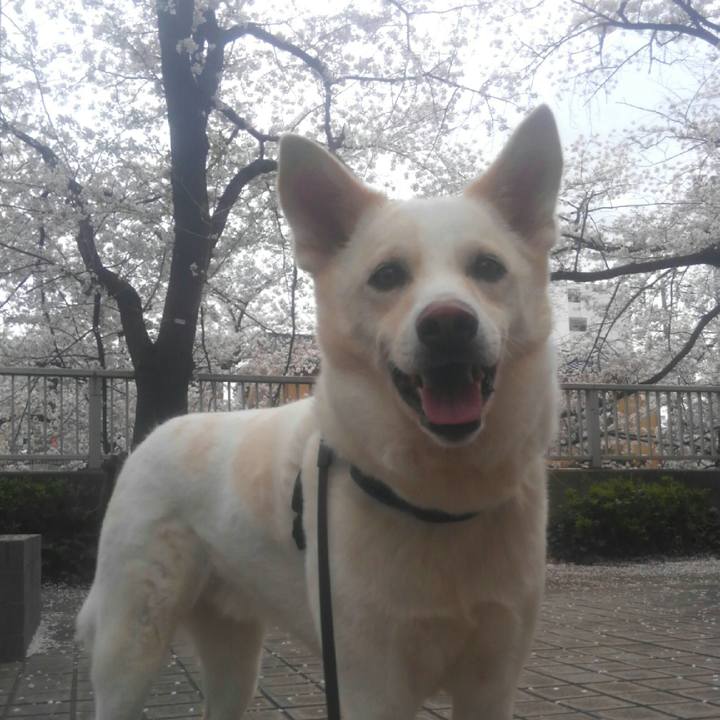 F71c9d77 9cdc 4713 a134 c3943695ee95