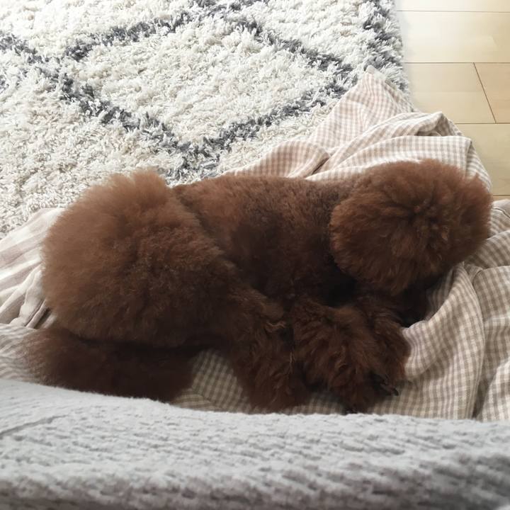 F71caf16 68b2 49c1 8391 9d7f04f42757