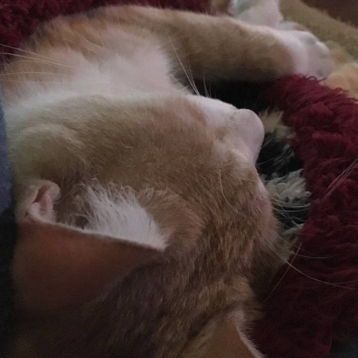 F71cca81 bb04 4b23 81ca cef869880a07