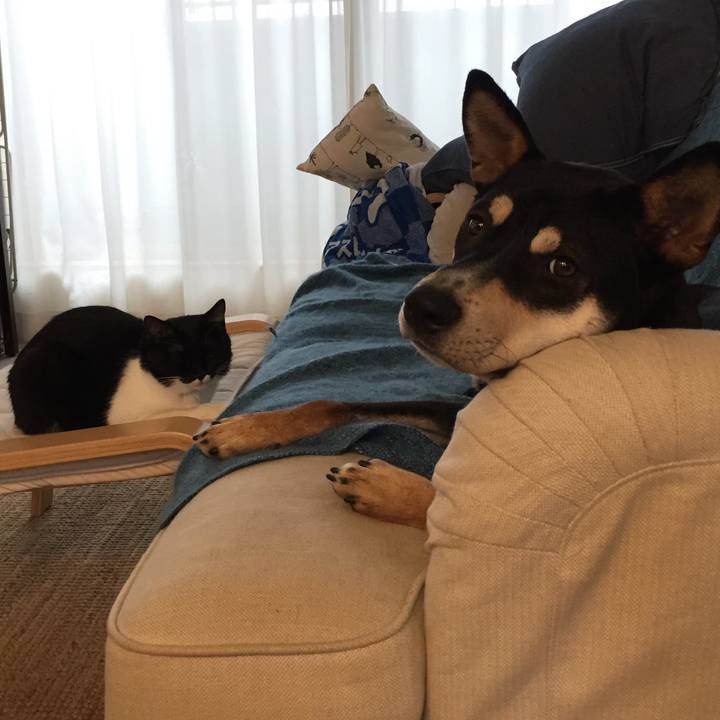 F71dcbb4 62f9 40a0 9a74 a0449020a828