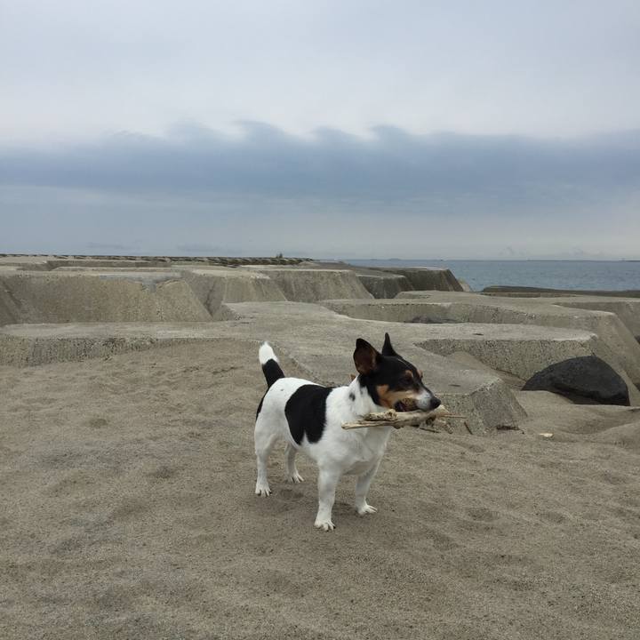 F71f7515 4168 4551 95a5 5173bff640b3