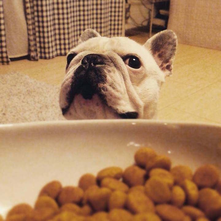 F71faf7c e677 4201 9752 f1c99213e309