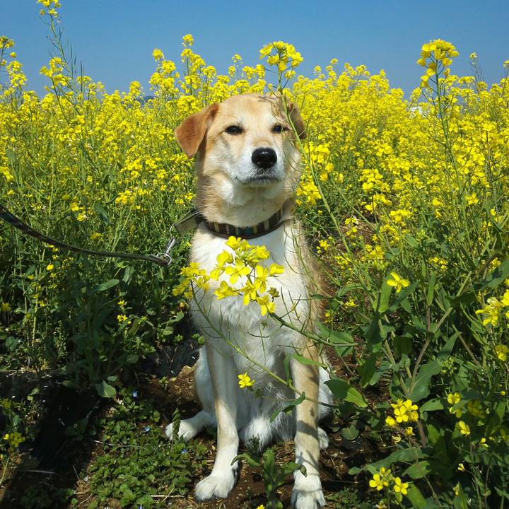 F7201e18 fed1 40d3 a740 98fc0eafff70