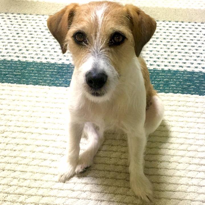 F7207af4 c36d 4c95 9705 987801ed4405