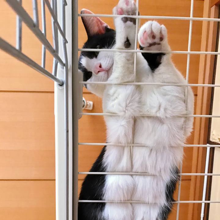 F7209502 e800 402b 99d0 bc9debc07619