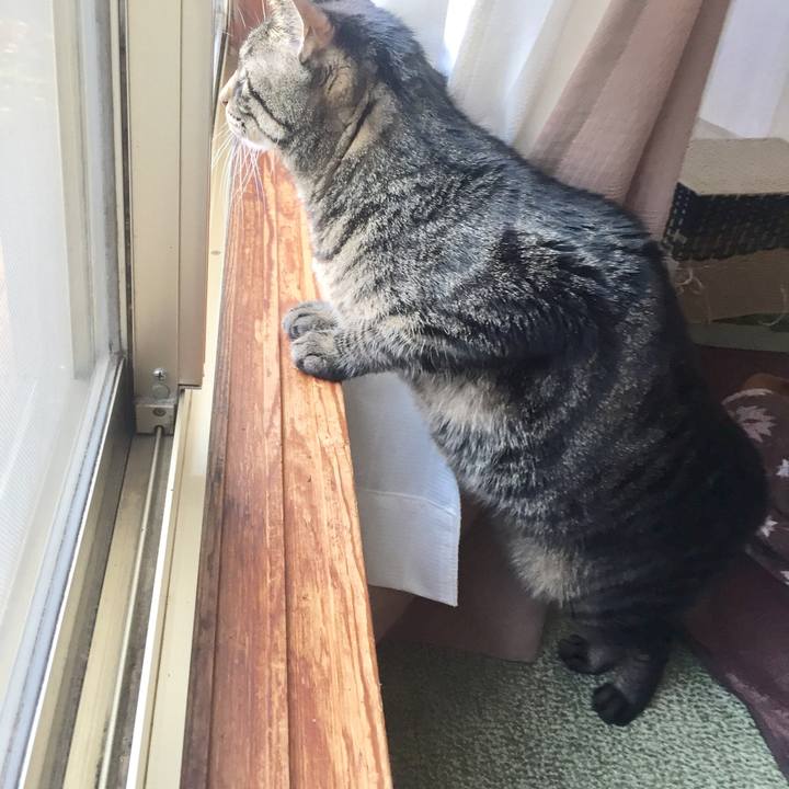 F720aa7d 6a17 4de4 9ab4 6e89ce964ad4