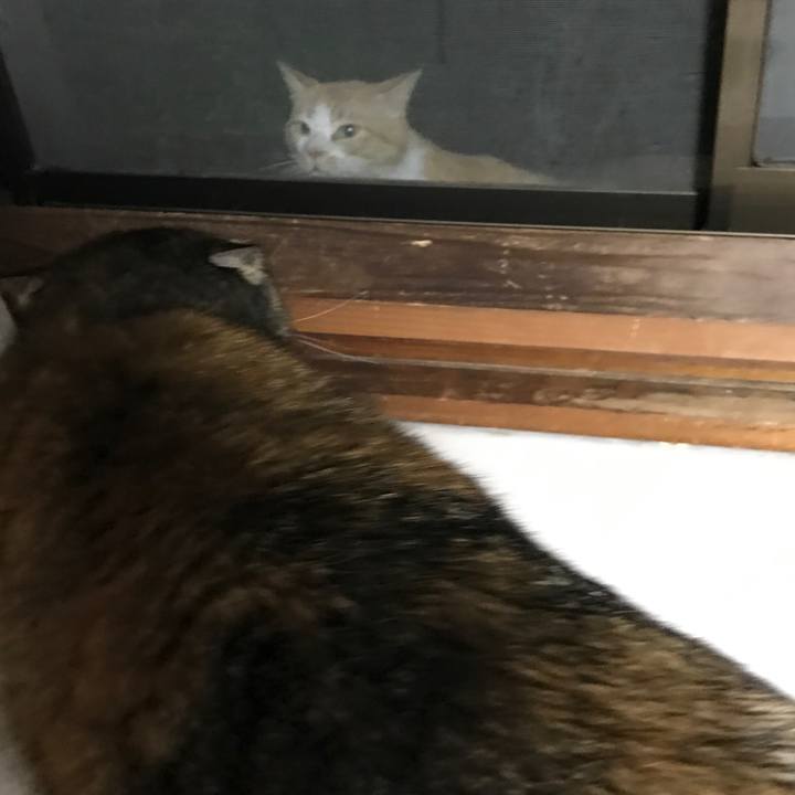 F7212779 0e6e 46ea a981 0303279a0a4a