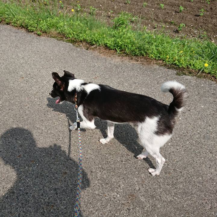 F7219447 312e 4f10 8c38 e82e415ec8a4