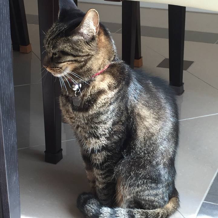 F7228547 4377 4000 81e9 cec1530b4157