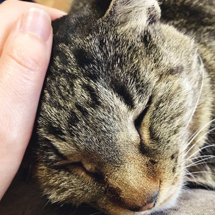 F722d710 75df 4b6f 8817 63ce6899c9df