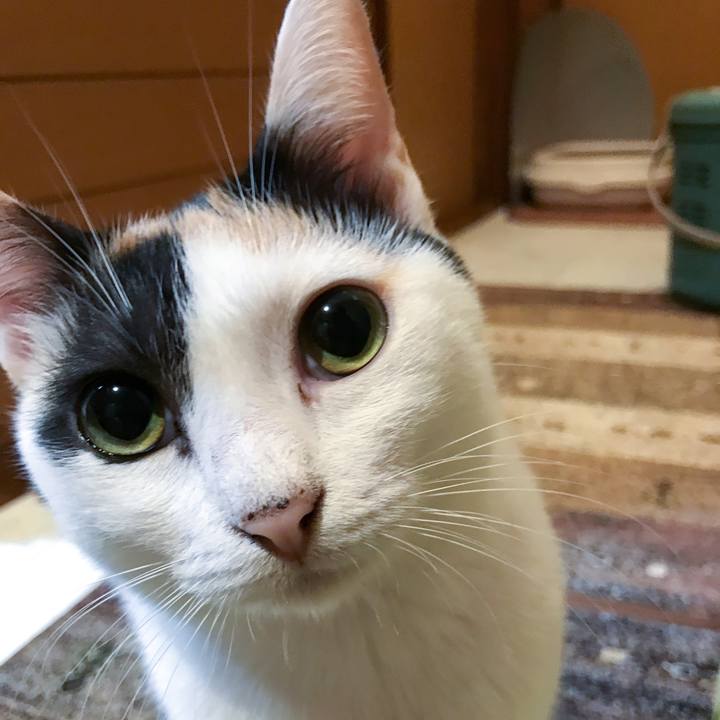 F722e214 7e20 4fd8 999a f0bb246e1f17