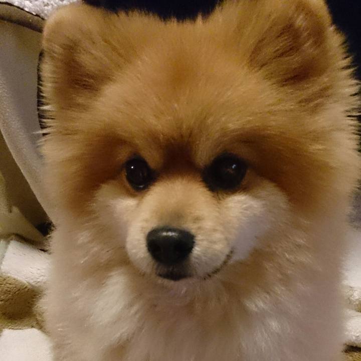 F722e74b fc36 4a7b 871e 8fe960668beb