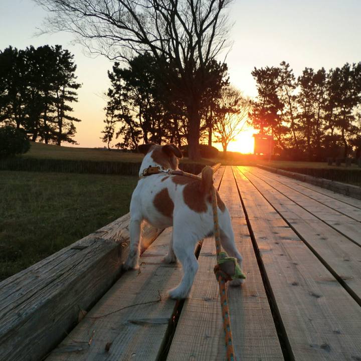 F724b247 d1c9 4bbe a28e 72823f7ba8d6