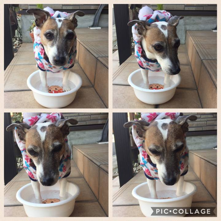 F725c715 31b0 446b 899e c1c48746d426