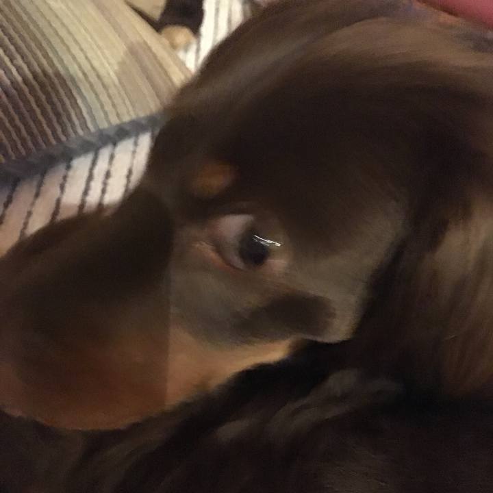 F7264229 e4b7 47c6 be04 967a42adf1c4