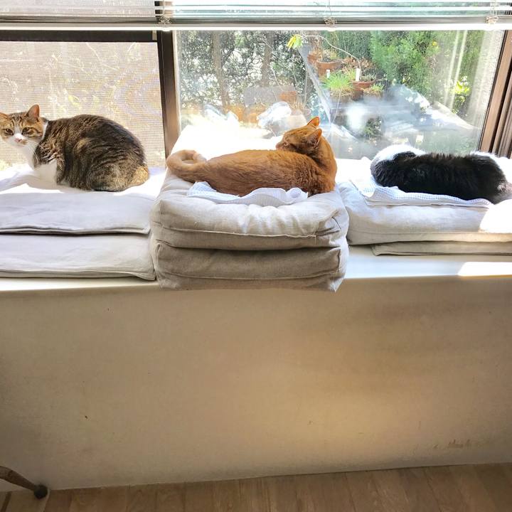 F726b73d a058 4373 b892 74840fd88e96