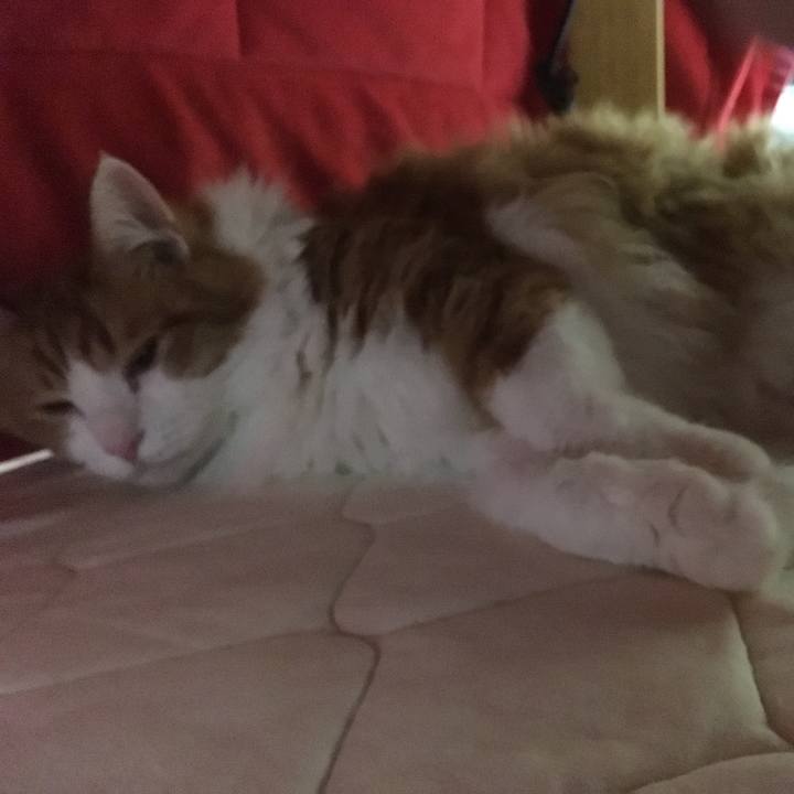 F727423e 06b3 4194 b8e7 4e2356a10028