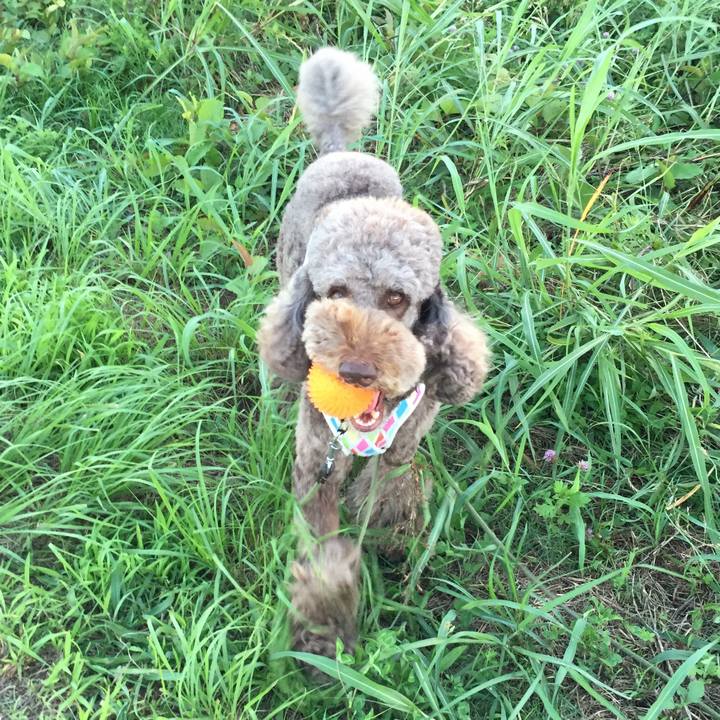 F7275cc0 a84d 4343 b3fa 4281e4e46997