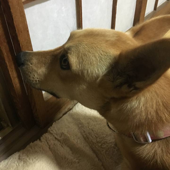 F7277558 bd52 4035 bad6 e021107b9f74